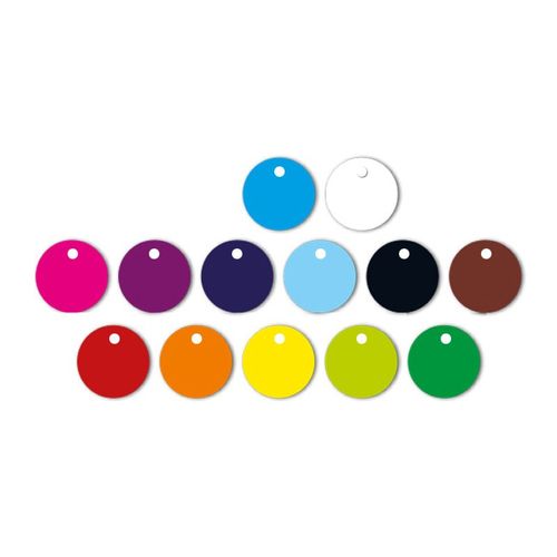 PORTE-CLE MOUSQUETON METAL AVEC JETON CADDIE - 2