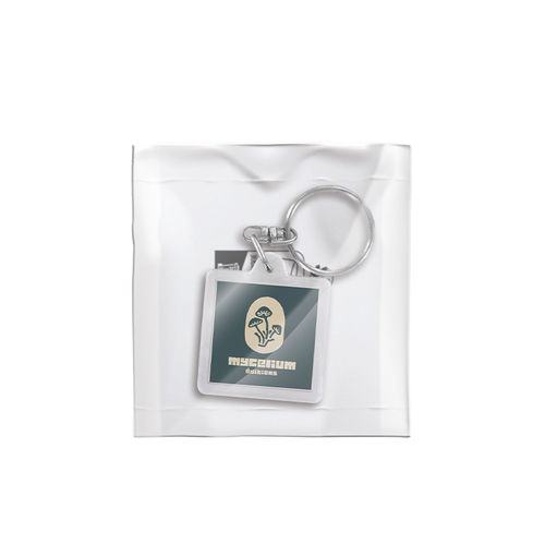PORTE-CLES TRANSPARENT PORTE-ETIQUETTE