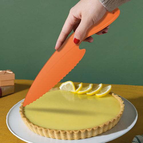 COUTEAU PELLE A TARTE - 5