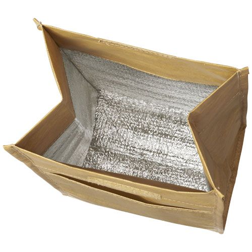 Bolsa isotérmica grande 