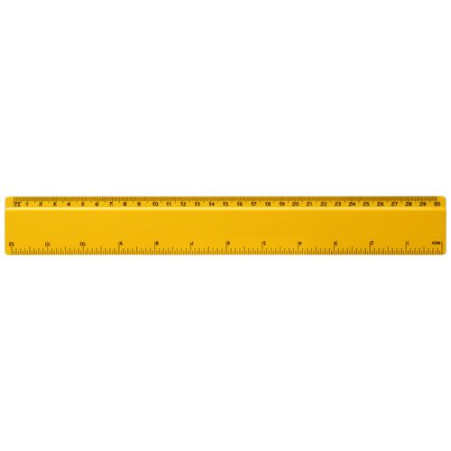 Regla de plástico de 30 cm 