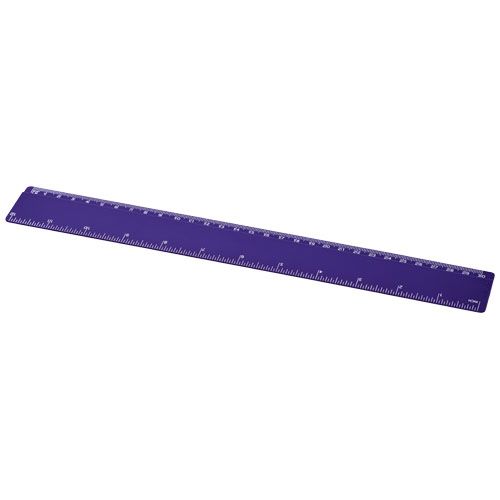 REGLA DE PLÁSTICO DE 30 CM 