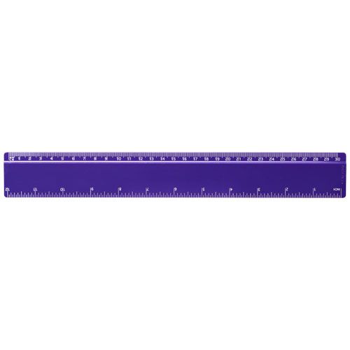 Regla de plástico de 30 cm 