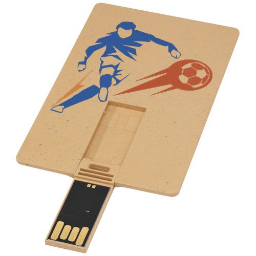 Clé USB biodégradable rectangulaire en forme de carte de crédit - 2