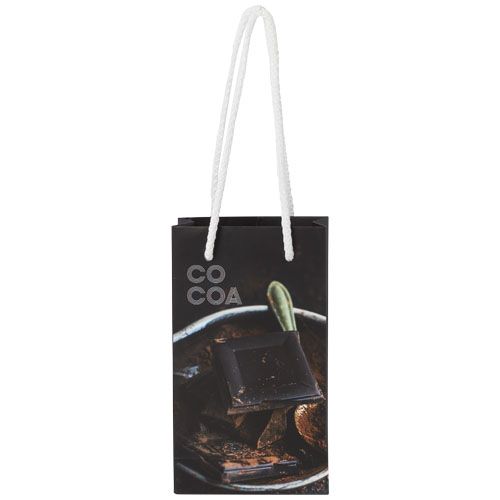 Sac en papier 170 g/m2 intégra fait à la main avec poignées en plastique, petit modèle - 2