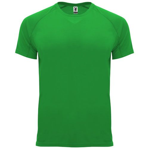 vert fougère