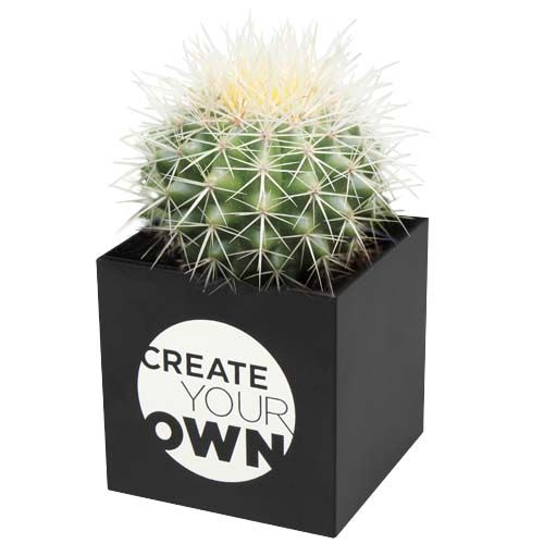 Maceta de aluminio con planta, cactus, 