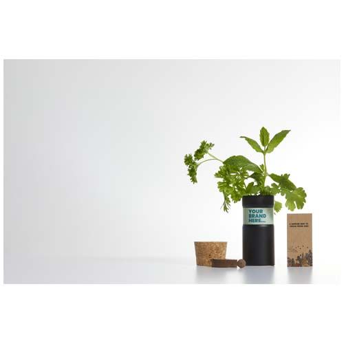 black Mezcla de flores para jardín de sobremesa