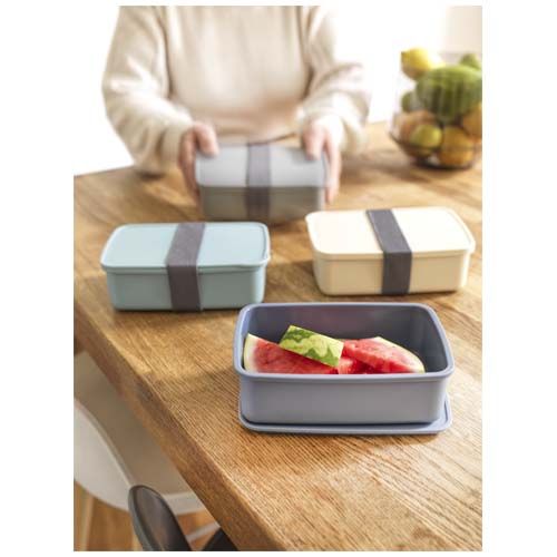 gray Fiambrera de 800 ml