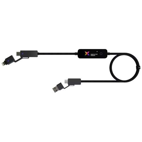 Cable de carga de 100 W 