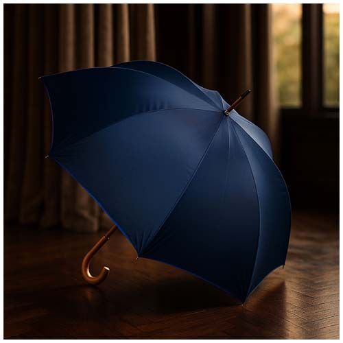 parapluie