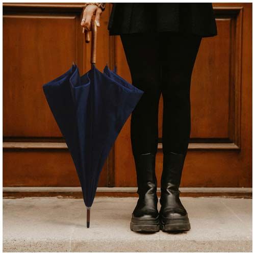 parapluie