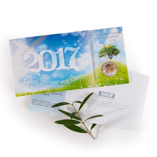 FLYER À PERSONNALISER AVEC CAPSULE DE GRAINES thumbnail 4