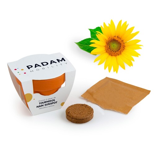 KIT DE PLANTATION MINI POT TERRE CUITE 45 MM thumbnail 4