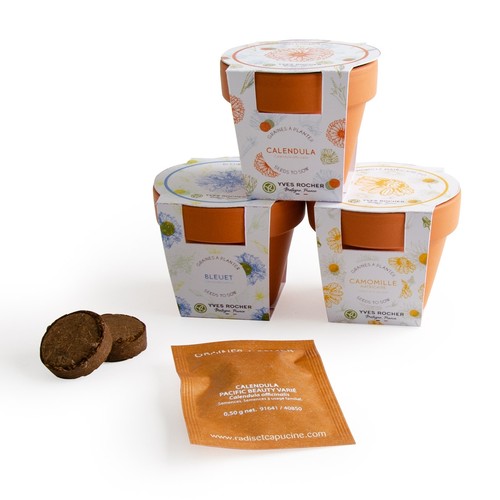 KIT DE PLANTATION AVEC GRAINES POT TERRE CUITE 65 MM thumbnail 4