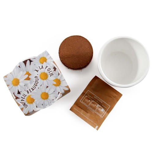 KIT DE PLANTATION PAQUERETTE BLANCHE CÉRAMIQUE BLANC 80MM thumbnail 4