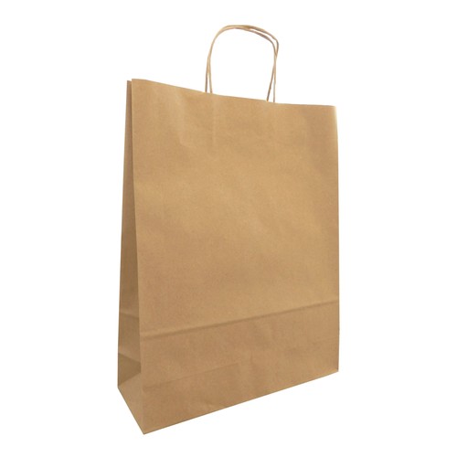 Sac papier kraft anses torsadées - 1