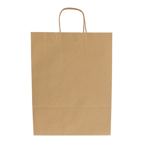 Sac papier kraft anses torsadées - 2