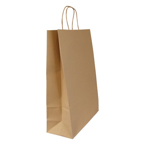 Sac papier kraft anses torsadées - 3