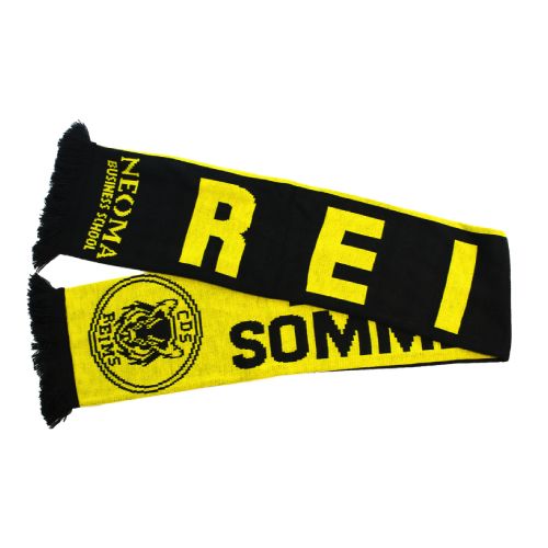 ECHARPE TRICOTÉE - 2