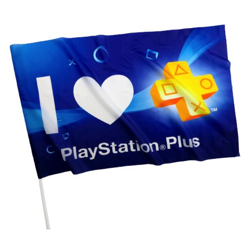 Drapeau supporter 20x30 cm avec Hampe - 5