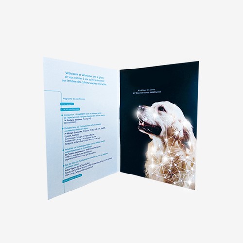 CARTE A FIBRE OPTIQUE