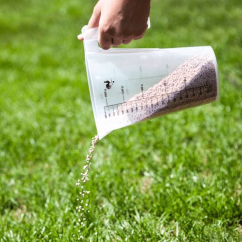 Pichet doseur 2L thumbnail 4