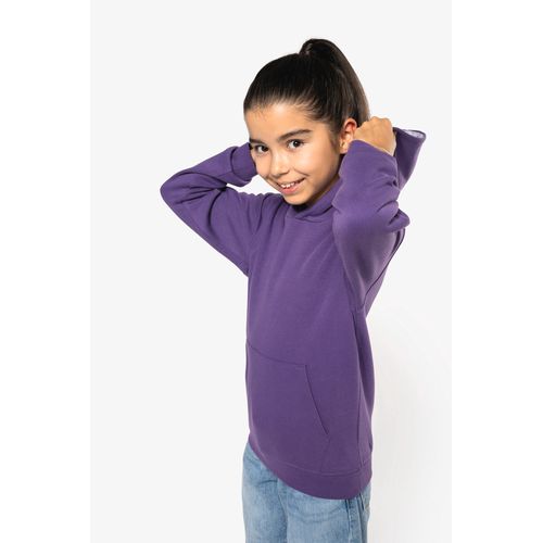 Sweat-shirt capuche contrastée enfant thumbnail 11
