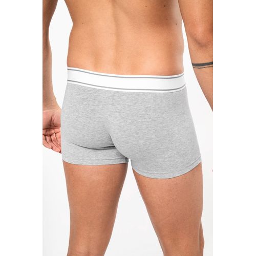 Boxer - 2