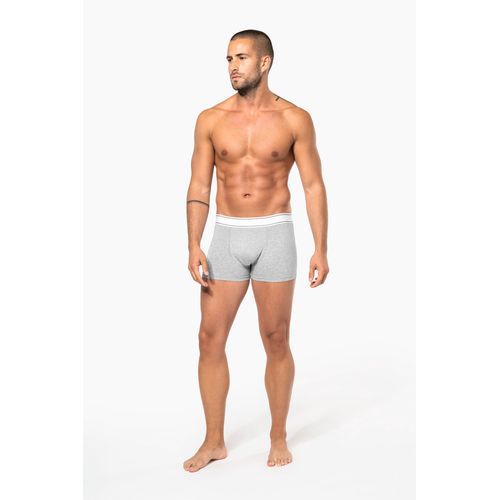 Boxer - 6
