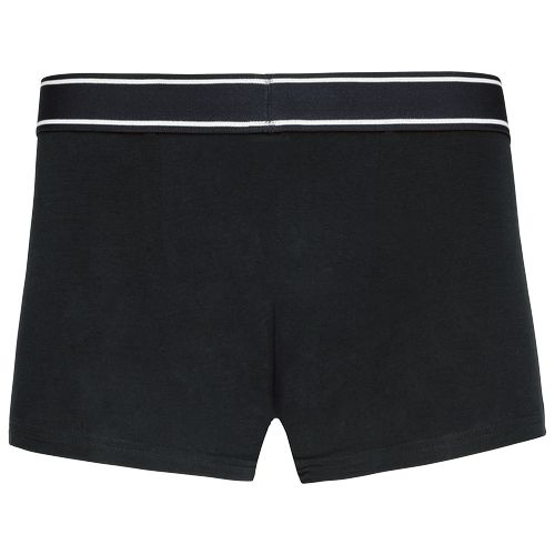 Boxer - 7