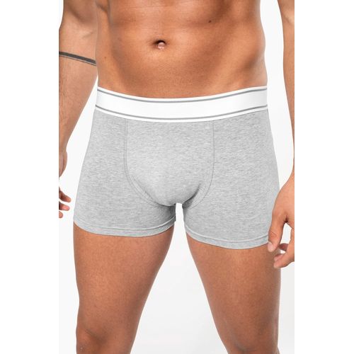 Boxer - 2
