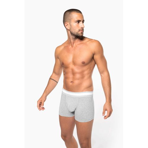 Boxer - 1