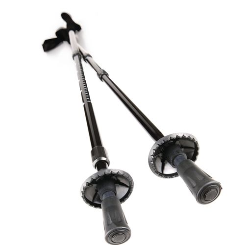 Bâton de trekking - 1