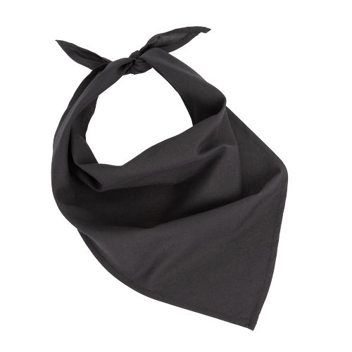 Fiesta - Bandana - 7