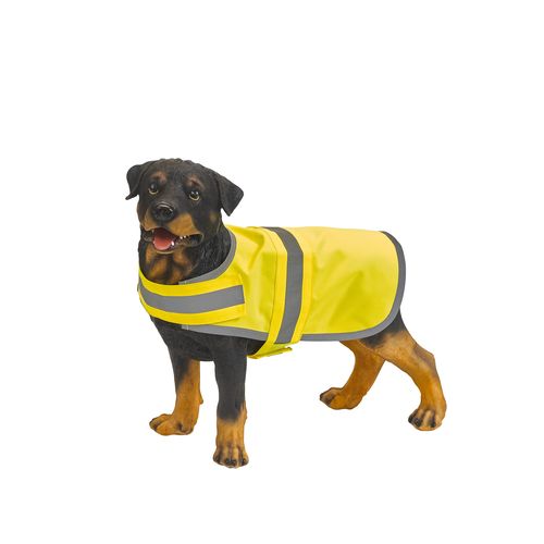 Gilet réfléchissant pour chien - 2