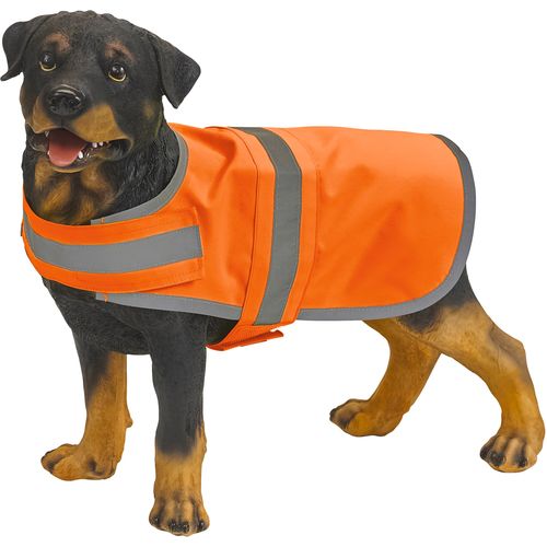 Gilet réfléchissant pour chien - 1