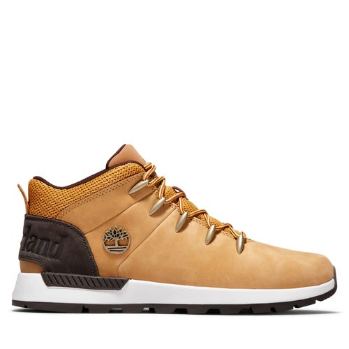 Chaussures Sprint trekker mid - 2
