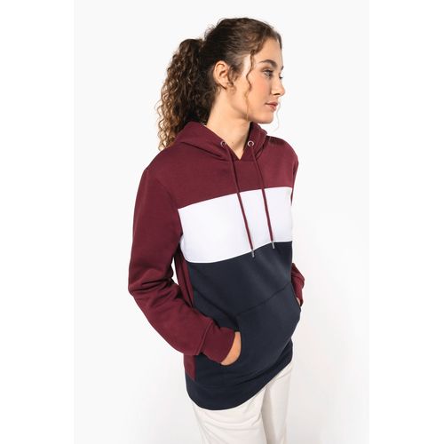 Sweat-shirt tricolore à capuche unisexe thumbnail 18