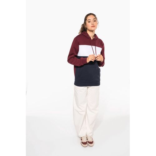 Sweat-shirt tricolore à capuche unisexe thumbnail 17