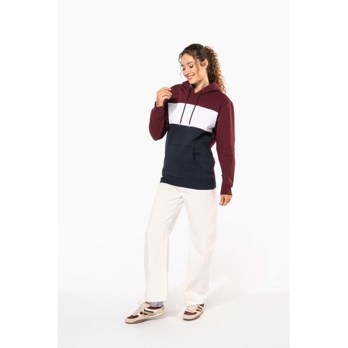 Sweat-shirt tricolore à capuche unisexe thumbnail 15