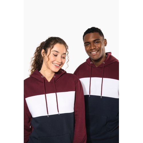 Sweat-shirt tricolore à capuche unisexe thumbnail 10