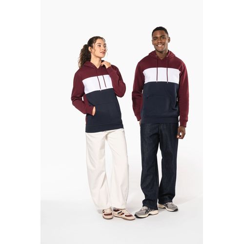 Sweat-shirt tricolore à capuche unisexe thumbnail 16