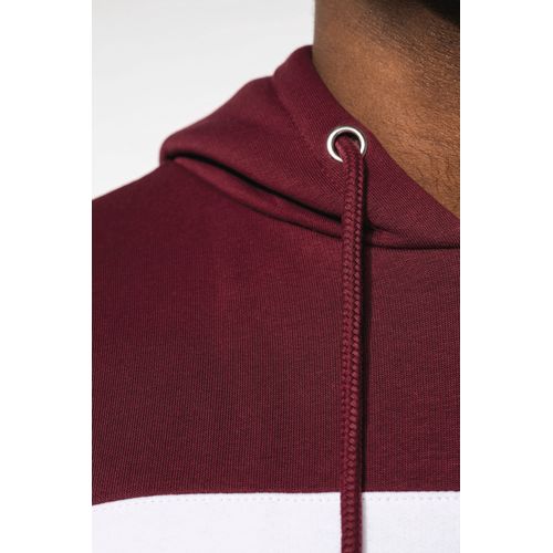 Sweat-shirt tricolore à capuche unisexe thumbnail 7