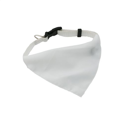 Collier Pour Chien Rex - 1