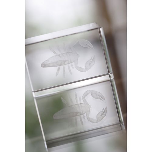 Bloc En Verre Macon - 10