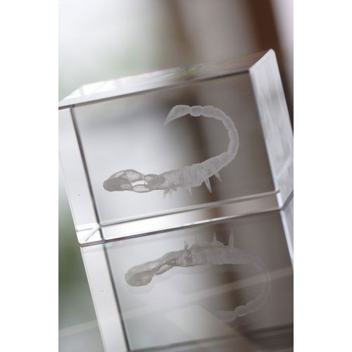 Bloc En Verre Macon - 11