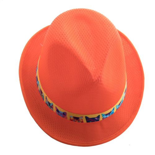 Bandeau Pour Chapeaux Subrero - 4