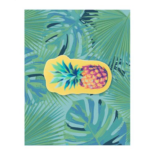 Cache webcam ShapeCam - 4