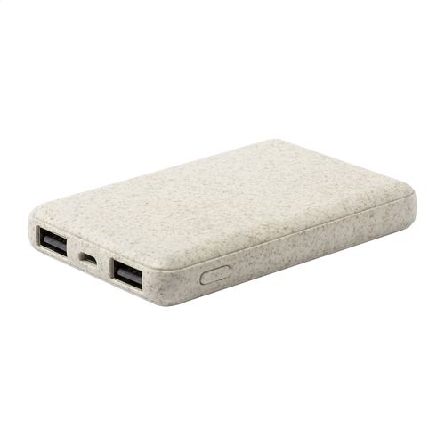 Power Bank Durum - 1
